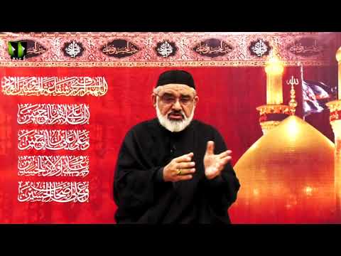 [8] Ahlay Wilayat , Or Nusrat -e- Imam (as) | H.I Ali Murtaza Zaidi | Muharram 1443/2021 | Urdu