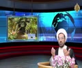 محاور الحوار (022) - حدود جهل الخليفة و الإمام - Arabic