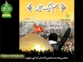 [Taranae Wahdat 2012] Hum aik Hain - MWM taranay 2012 - Urdu