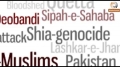 Pakistan: Shia genocide - What happened on Alamdar Road, Quetta [URDU] 