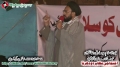 [12 Jan 2013] Karachi Dharna - Speech H.I. Sadiq Taqvi - Urdu