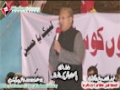 [12 Jan 2013] Karachi Dharna - Speech Arif Alvi - Pakistan Tehreek Insaaf - Urdu