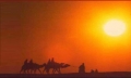 Hazrat Sakina a.s. - Arabic English